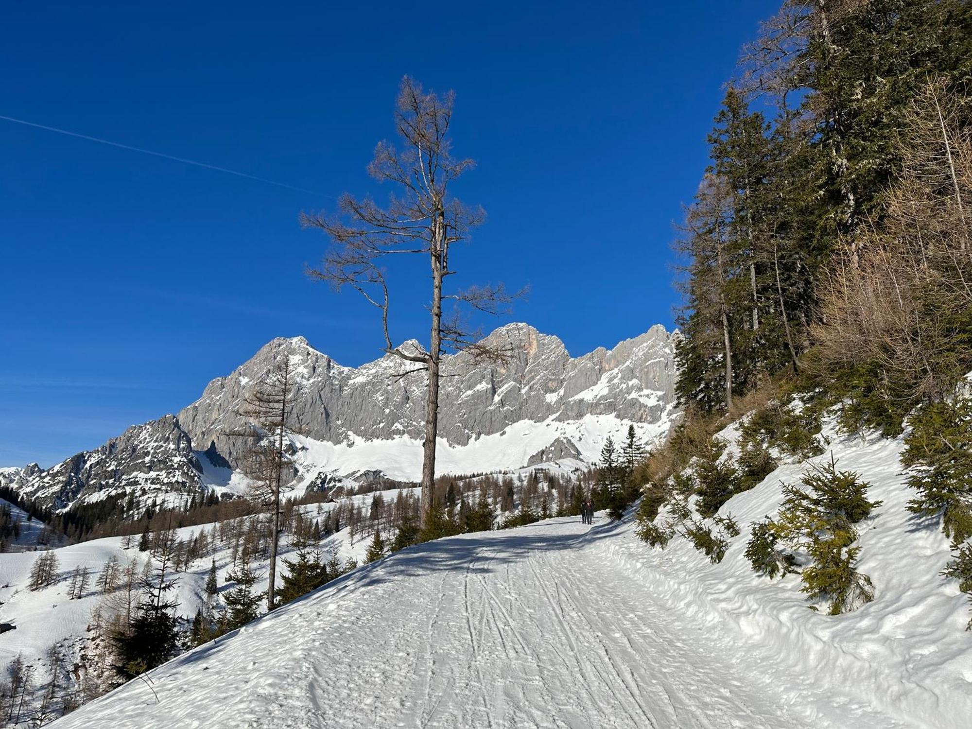 Appartements By Chalet Reiteralm -Sommercard Schladming Exterior foto